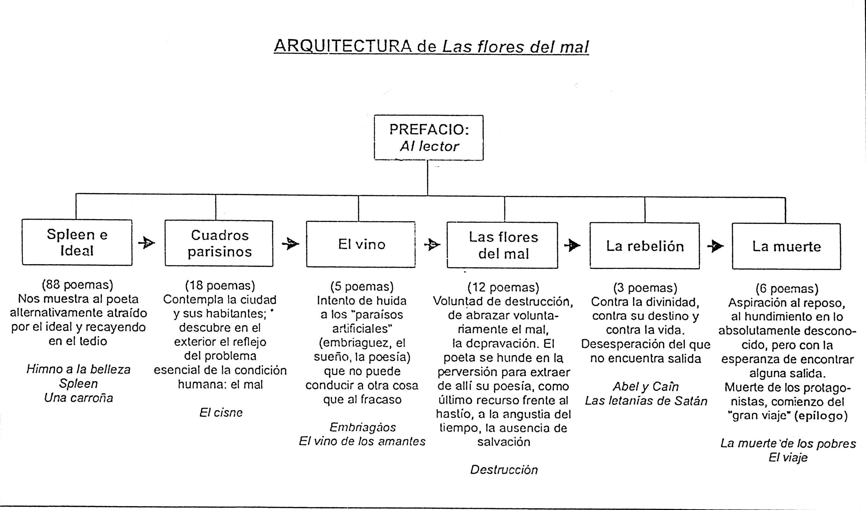 esquema de la estructura de las flores del mal